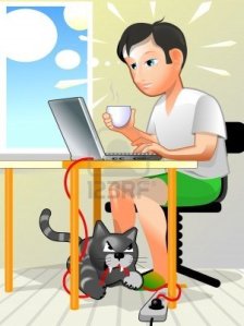 1777690-el-usuario-trabaja-en-su-computadora-portatil-y-loco-gato-enojado